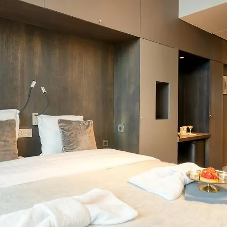Ideal Terraced Retreat In Ghent's Center
